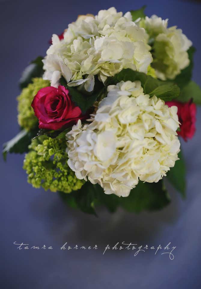 dallas texas wedding photographer tamra horner photography_015 copy